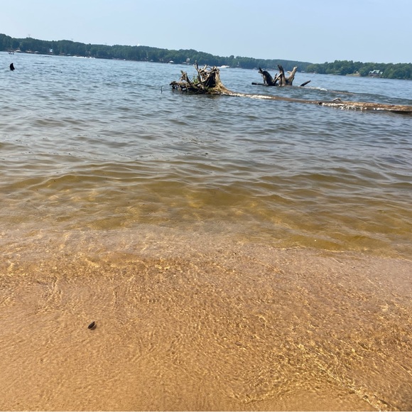 Meet your Posher - Picture 1 of 1